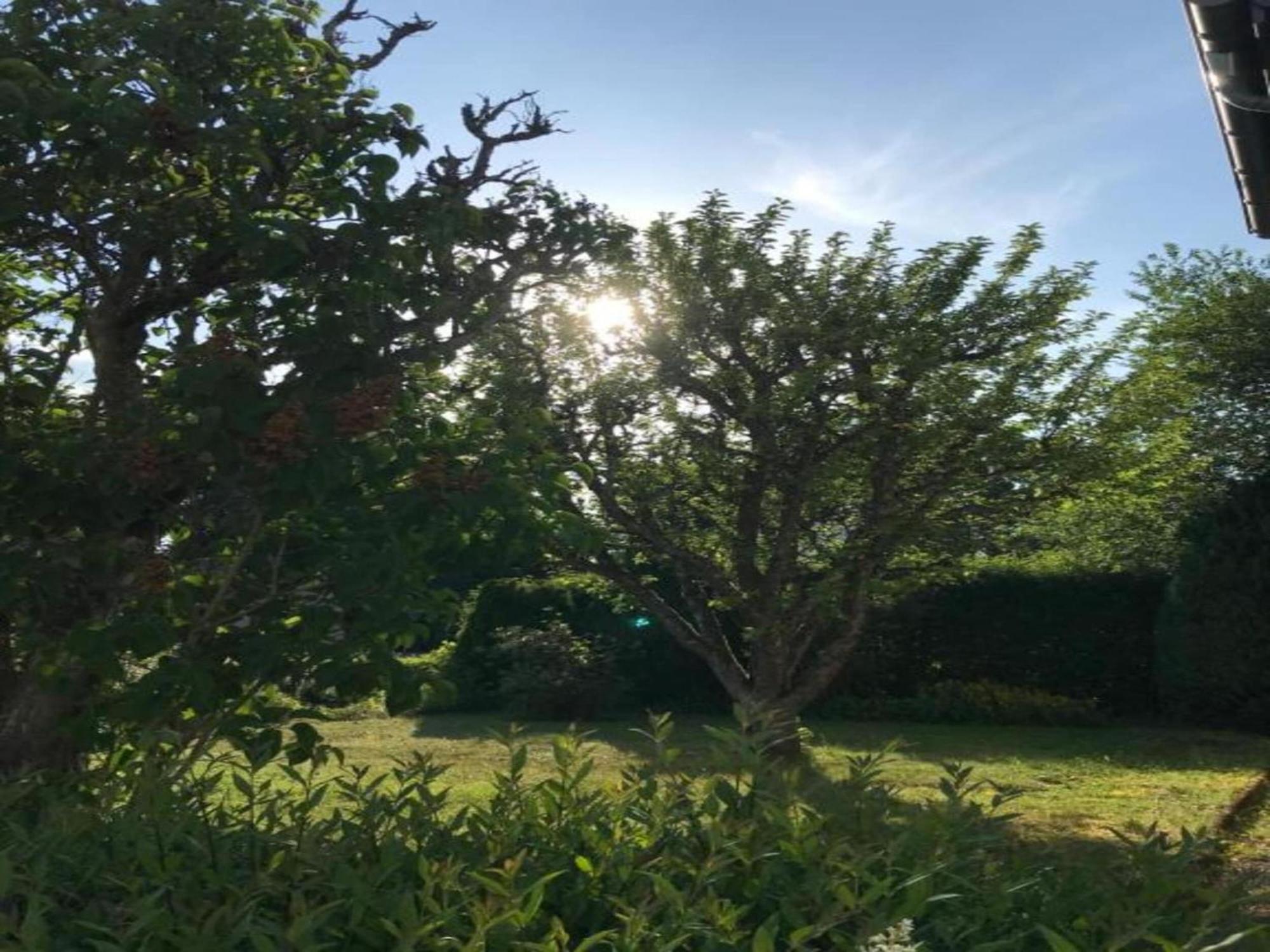 Spacious Holiday Home In Ulmen Near The Centre Esterno foto