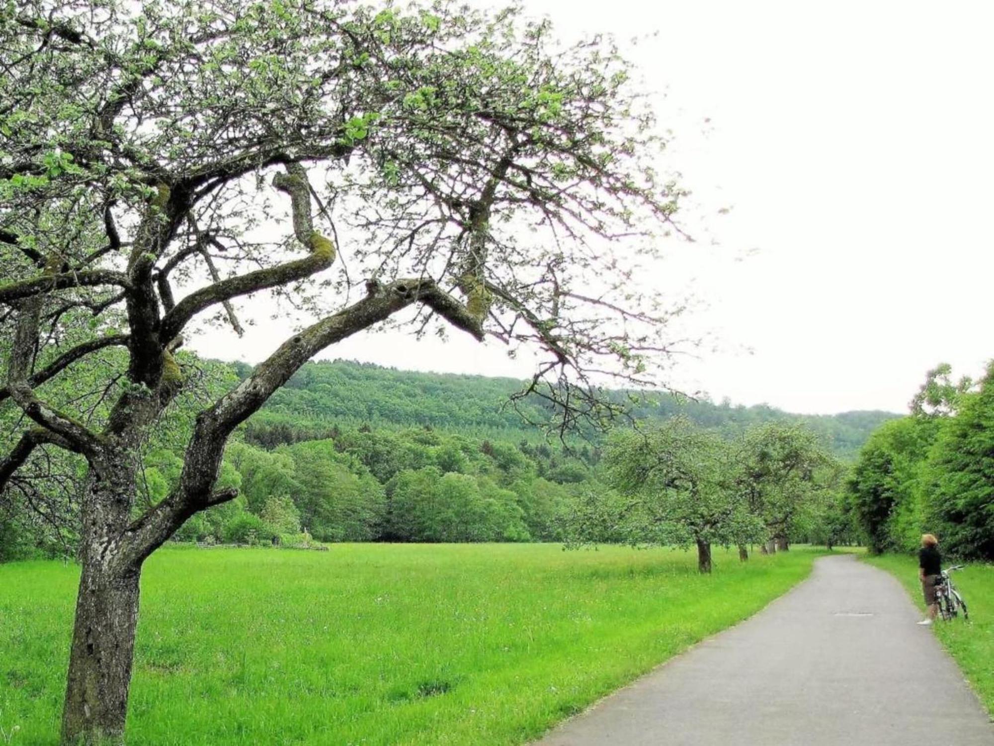 Spacious Holiday Home In Ulmen Near The Centre Esterno foto